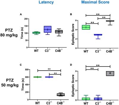 Complement C4-deficient mice have a high mortality rate during PTZ-induced epileptic seizures, which correlates with cognitive problems and the deficiency in the expression of Egr1 and other immediate early genes